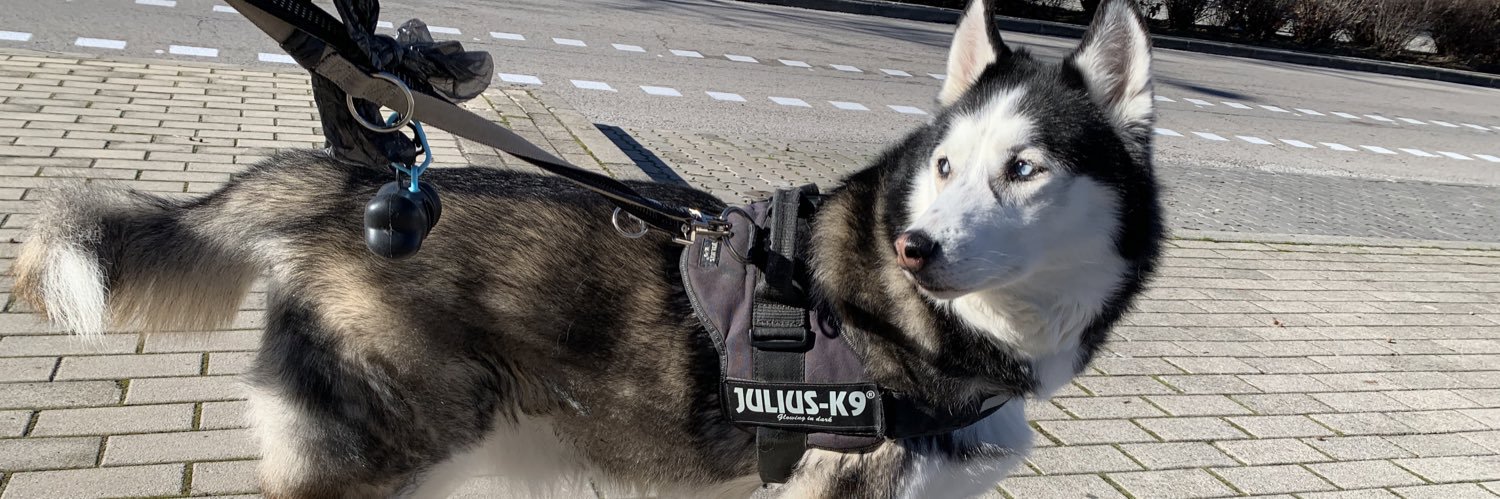 Loure aka Spanish Rekkles banner
