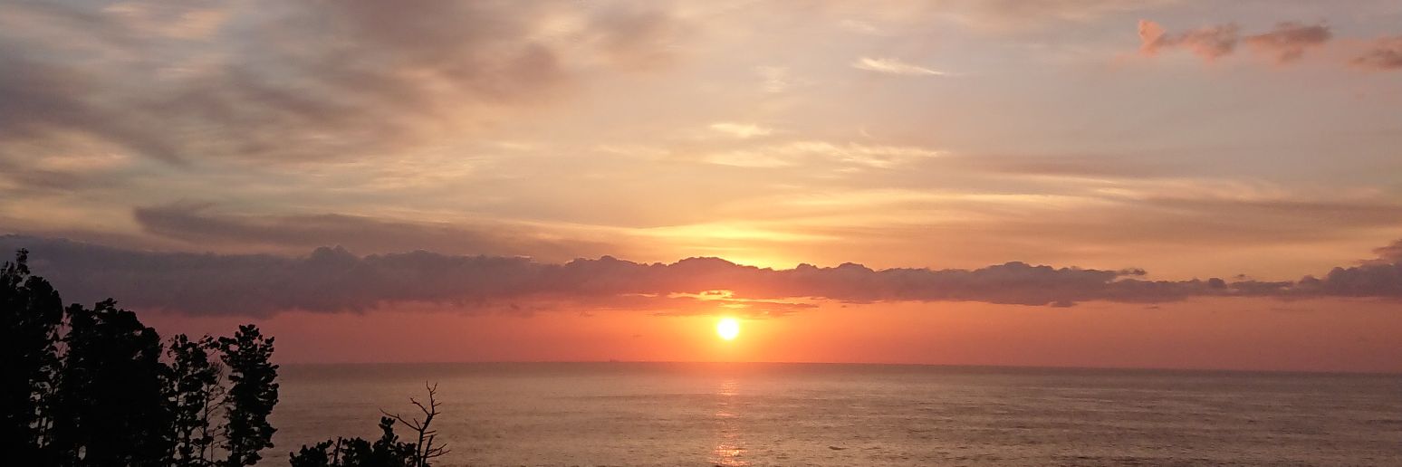 motchy6's profile banner image