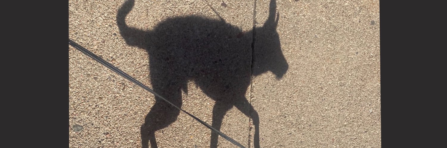 plusgreg.bsky.social banner