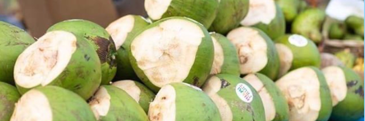 Coconut Oil Diaries banner