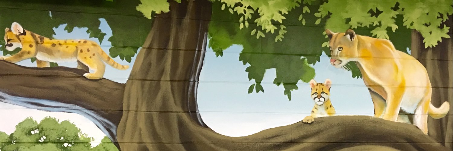 HCPS Cork Elementary banner