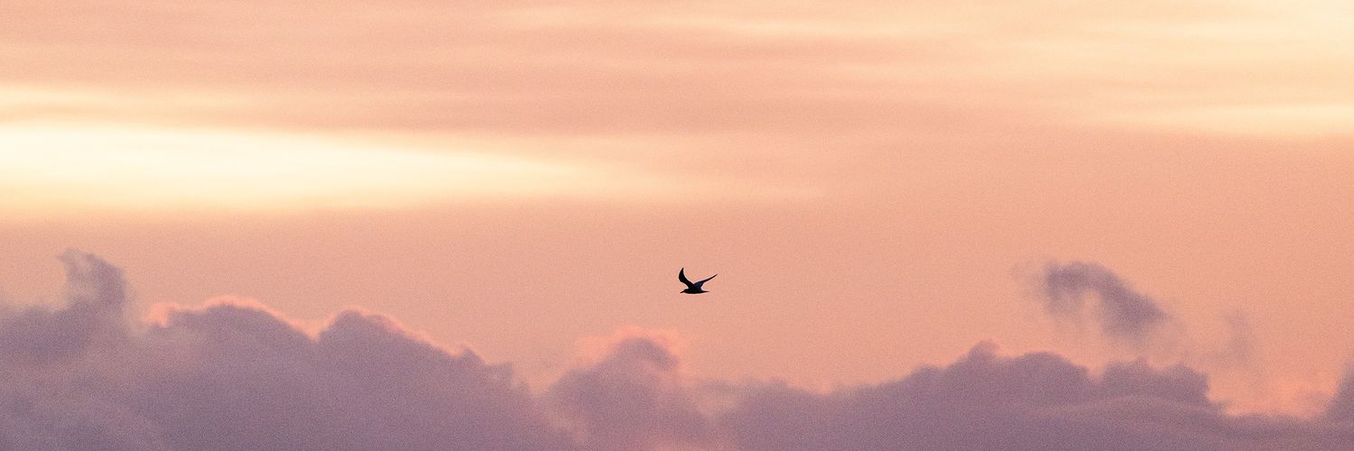 sixfebruary's profile banner image