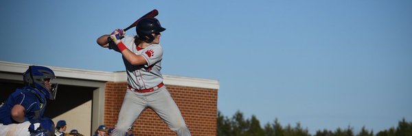 MadoxVipperman Profile Banner