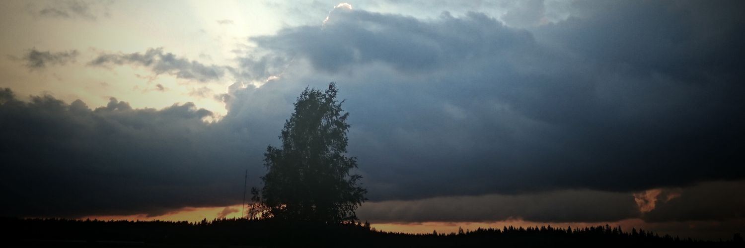 viitri0's profile banner image