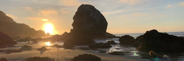marmars Profile Banner