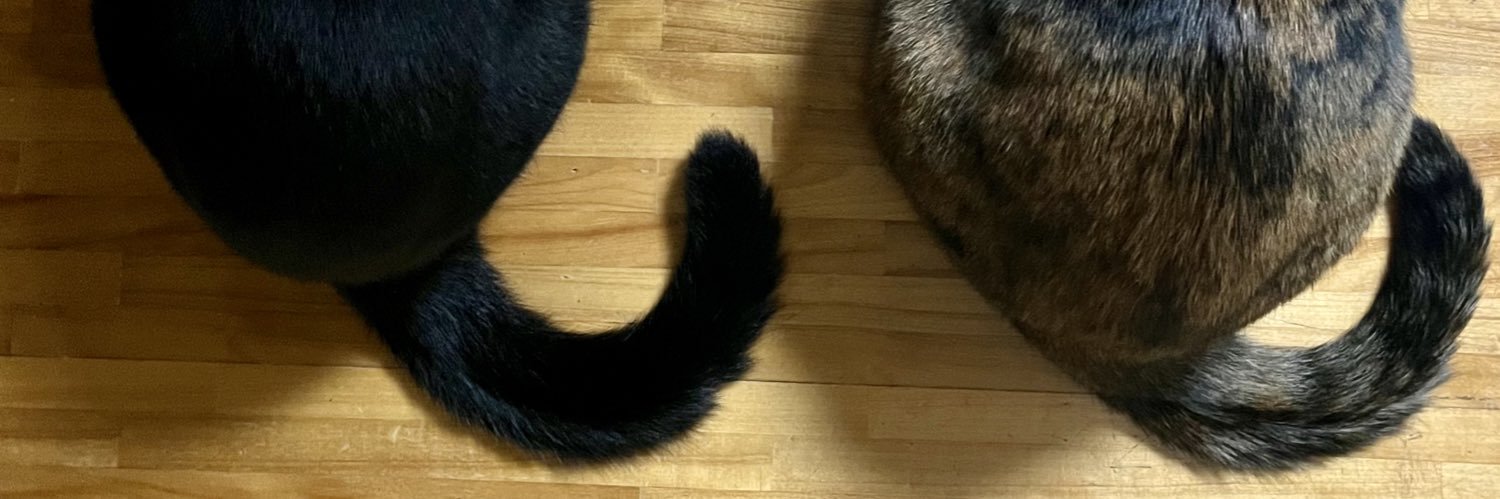 yonwony91's profile banner image