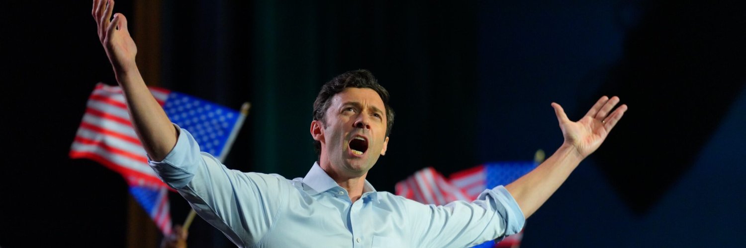 Georgia Democrat's banner