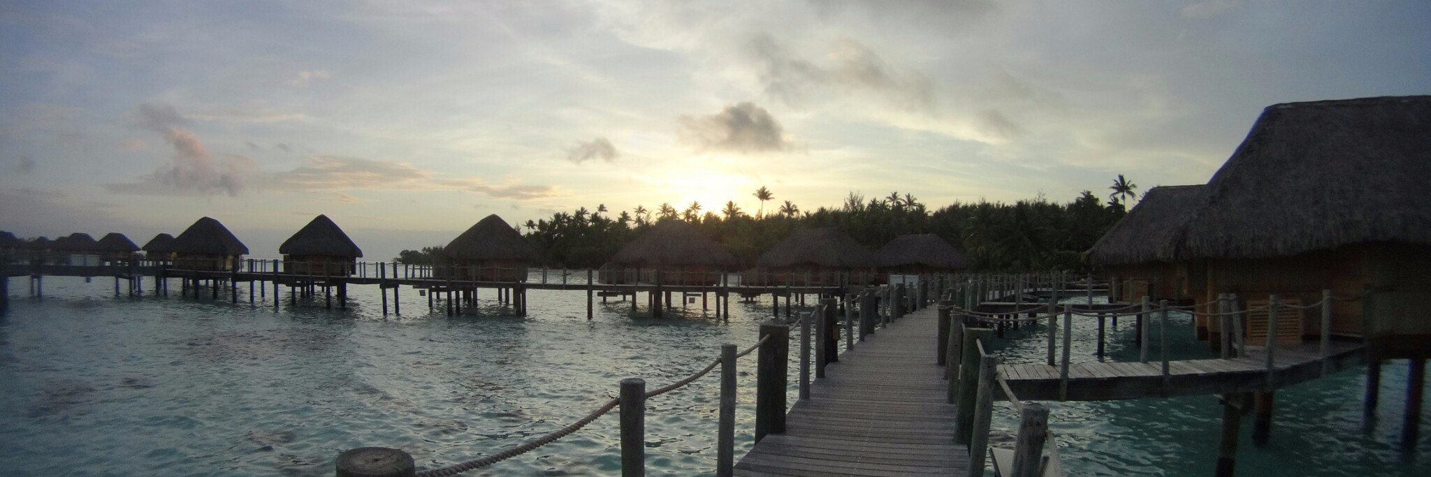 Eduard Céspedes banner