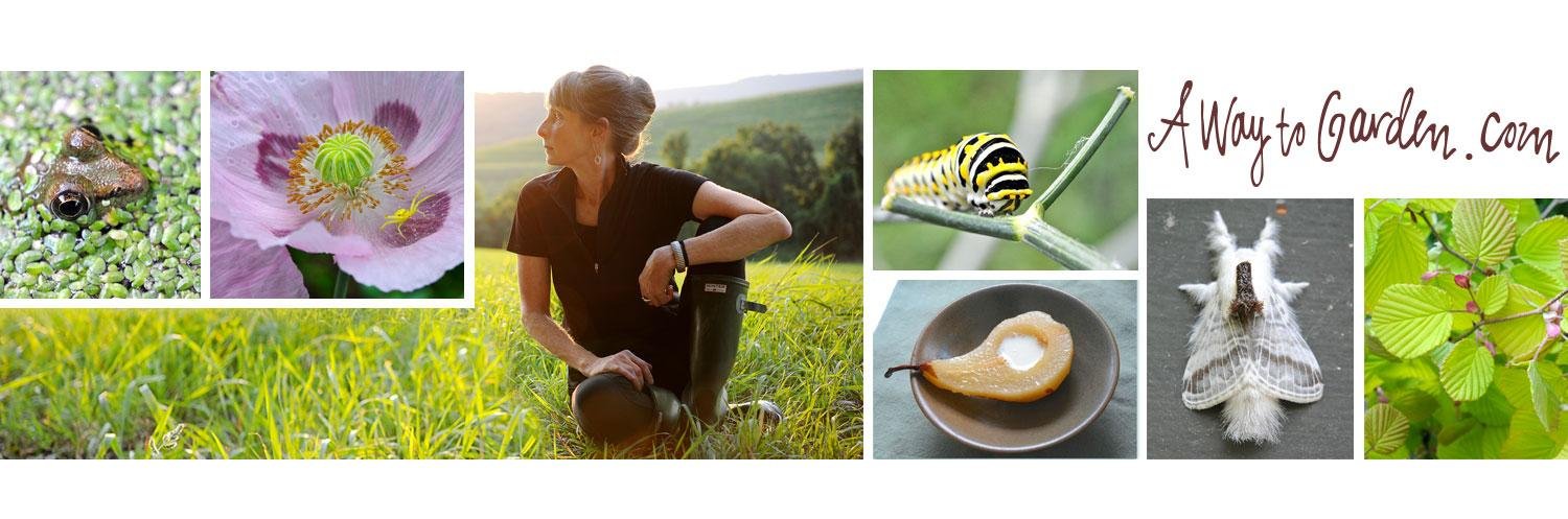 Margaret Roach banner