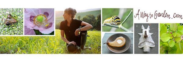 margaretroach Profile Banner