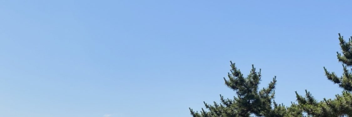 power_SJ_elf's profile banner image