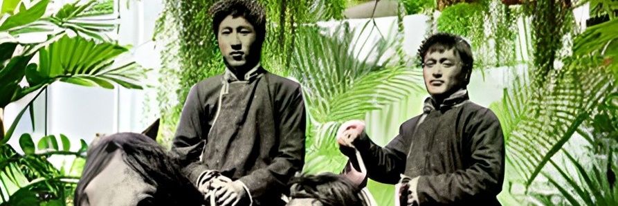 nomiin_engineer's profile banner image