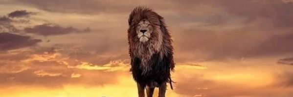 emanade47696164's profile banner image