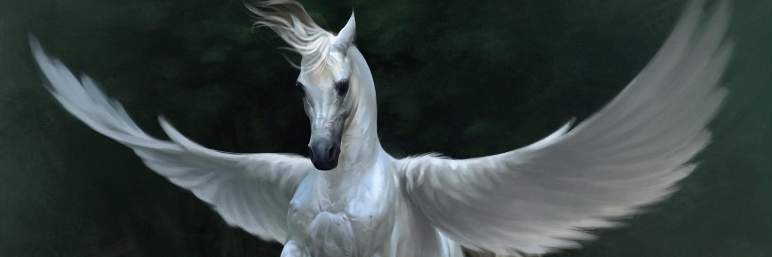 JimBob51's profile banner image