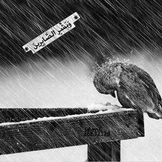uae_ajj's profile banner image
