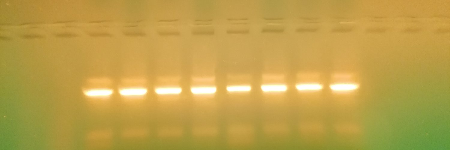 MSSI_93's profile banner image