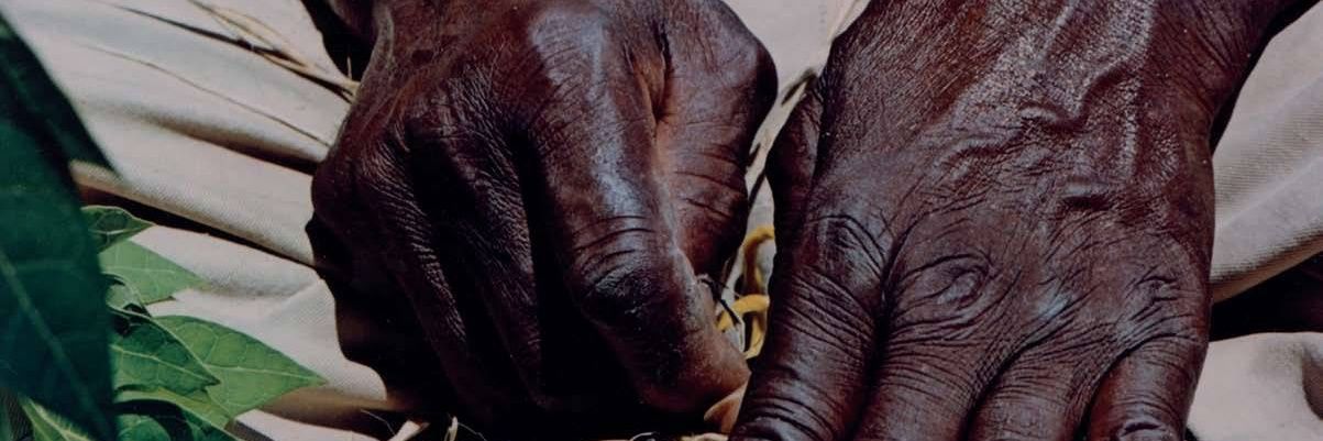 andrewcesar's profile banner image