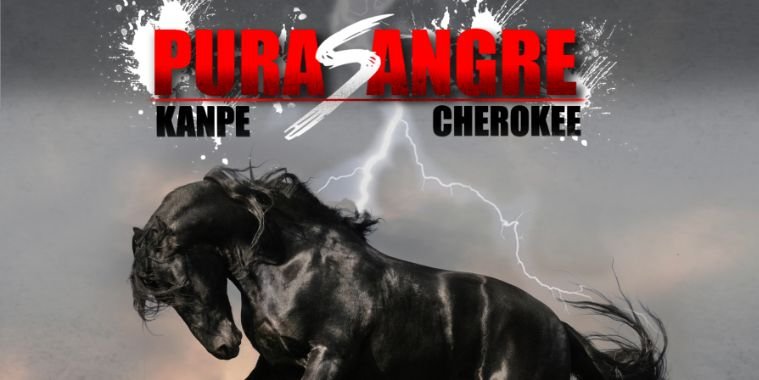Cherokee_TLW's profile banner image