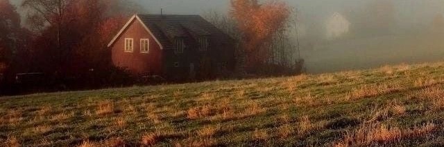 morty🍂🌙's banner