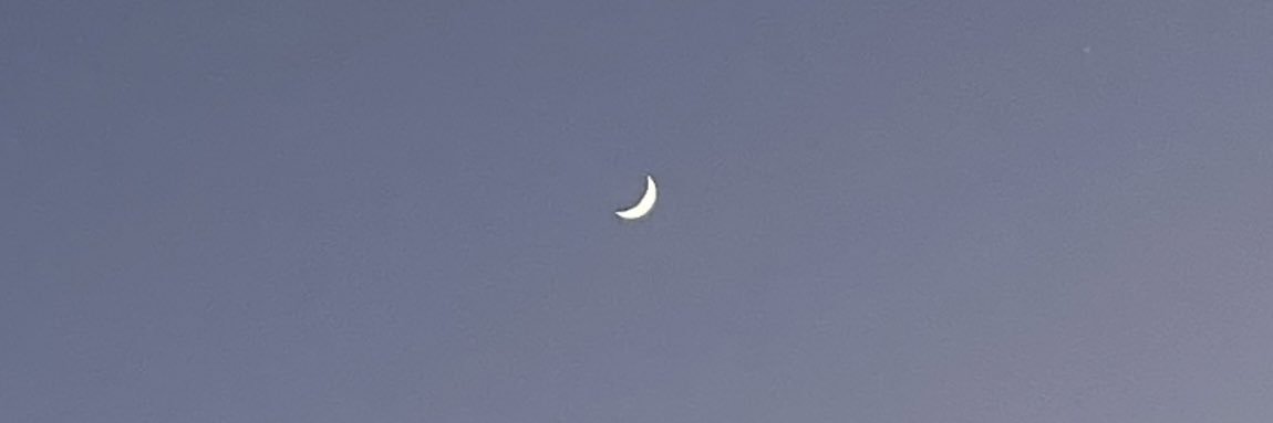 せーのひみつ基地𖣰ᜊ banner