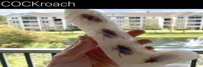 roachedcock's profile banner image