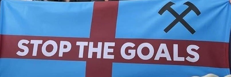 Leo banner