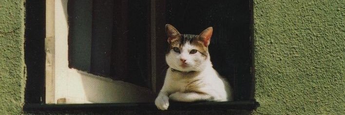_SarahHjad's profile banner image
