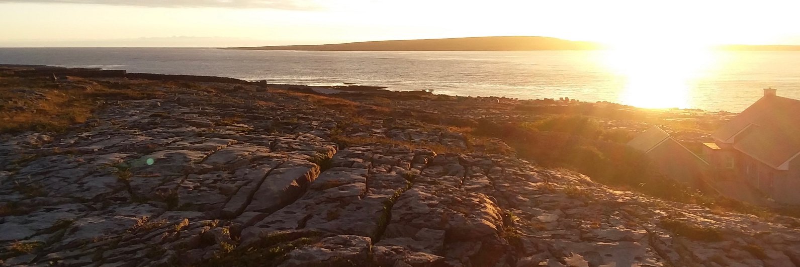 Dave Angelini banner