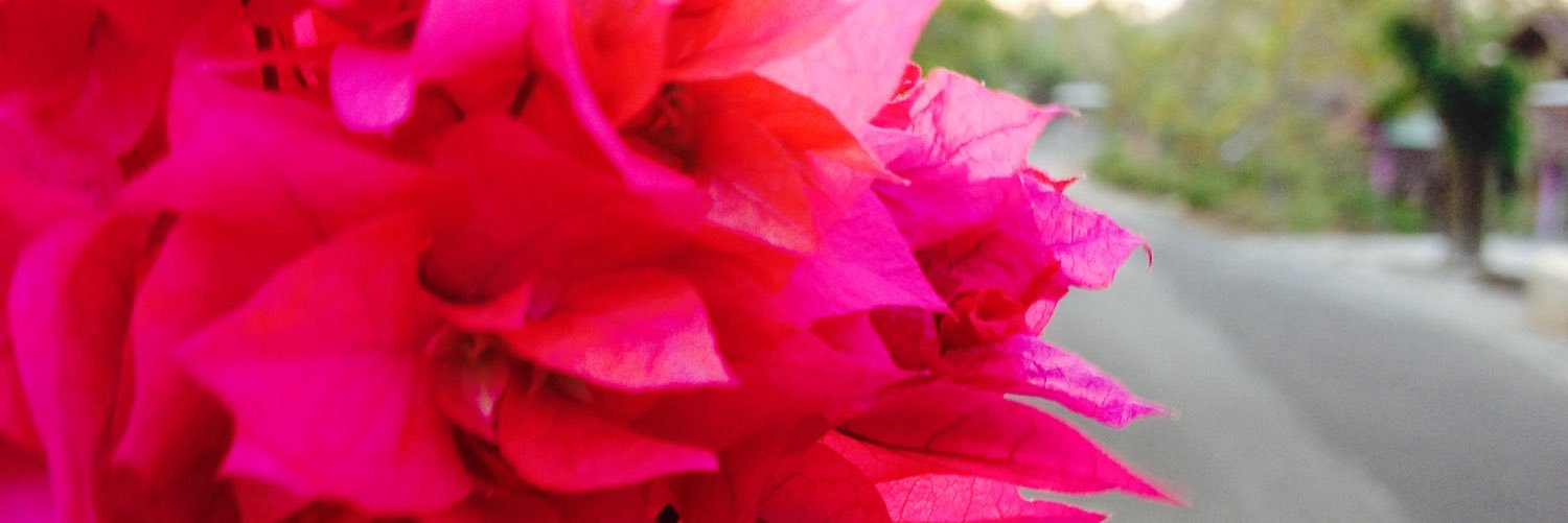 ayrinangku's profile banner image