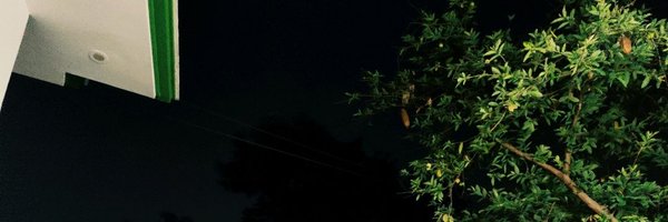 HarshikaAdarsh Profile Banner