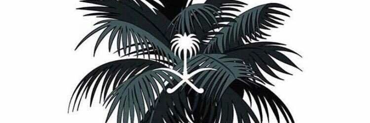 saqr9979's profile banner image