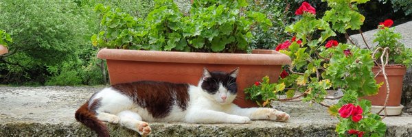 Laida Arbizu Agirre Profile Banner