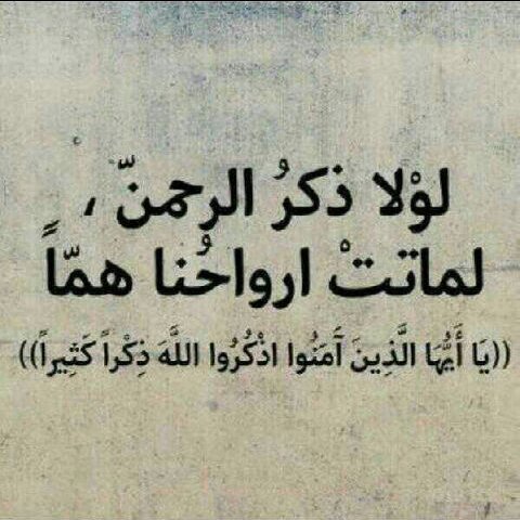 Huda_Alhamad's profile banner image