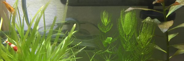 RlbHh8 Profile Banner