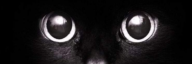 PamelaHull89's profile banner image