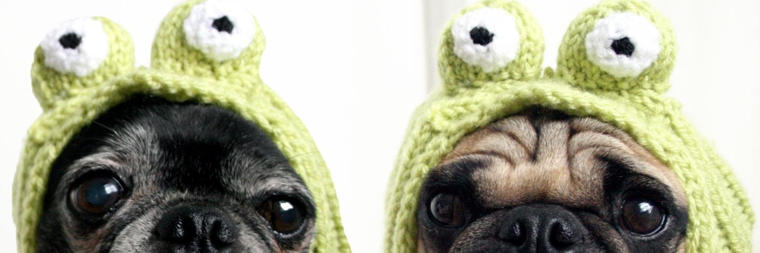 allyouneedispug's profile banner image