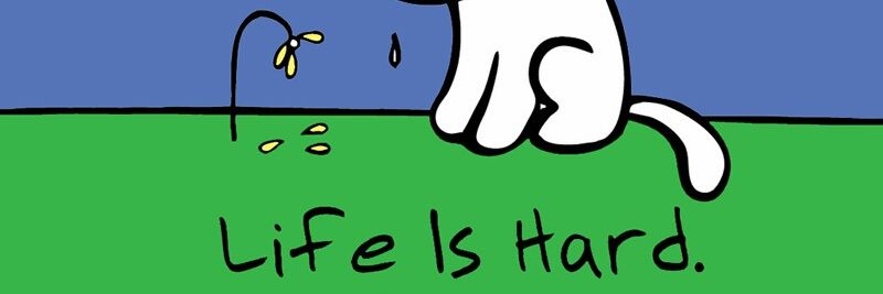 mrmonkey96's profile banner image