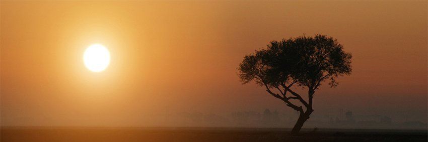 İlker Erarslan 🇹🇷 banner