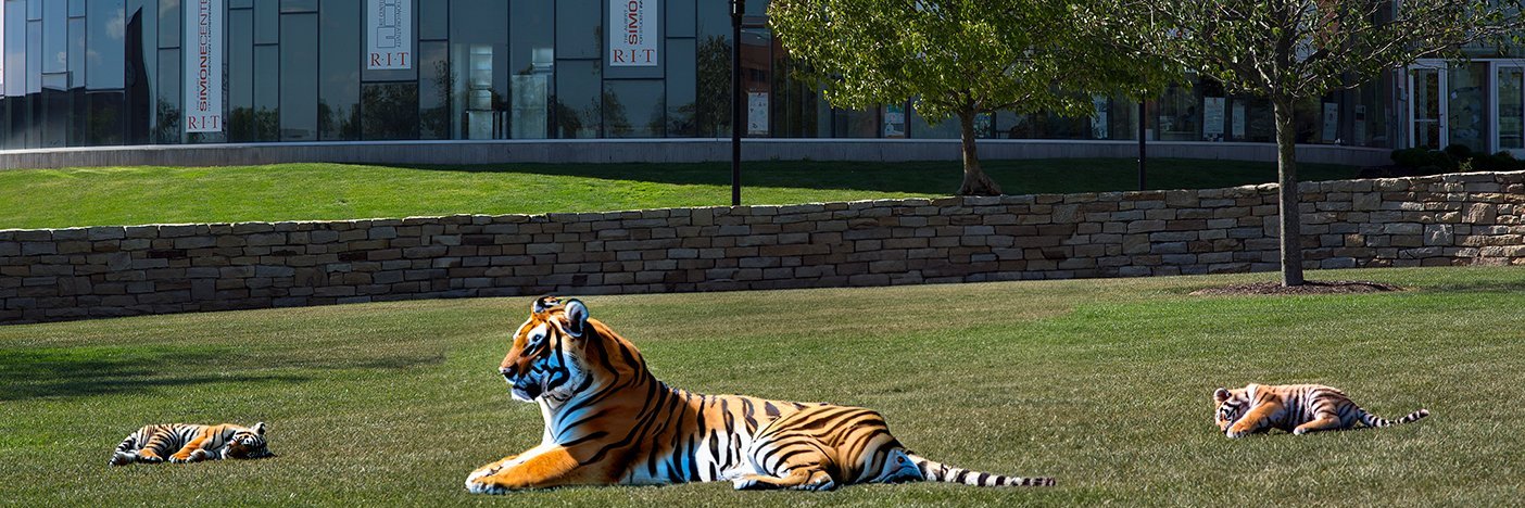 RIT Division Of Government and Community Relations's banner