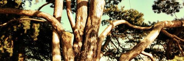 DanielGFord Profile Banner