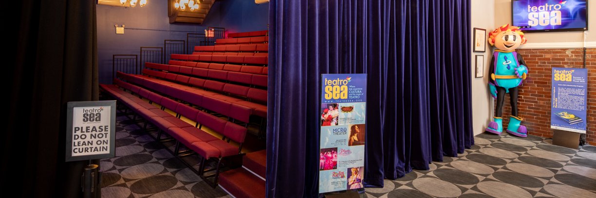Teatro SEA banner