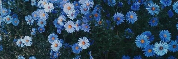 adsdfd1 Profile Banner