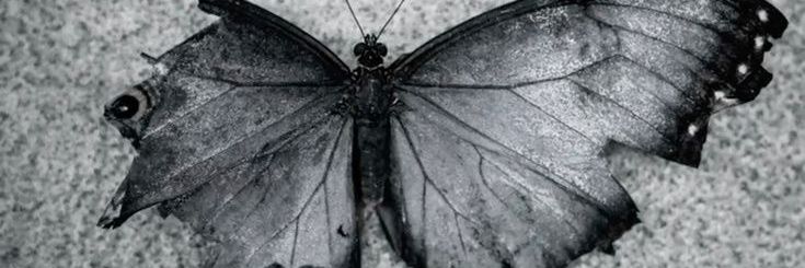 M banner
