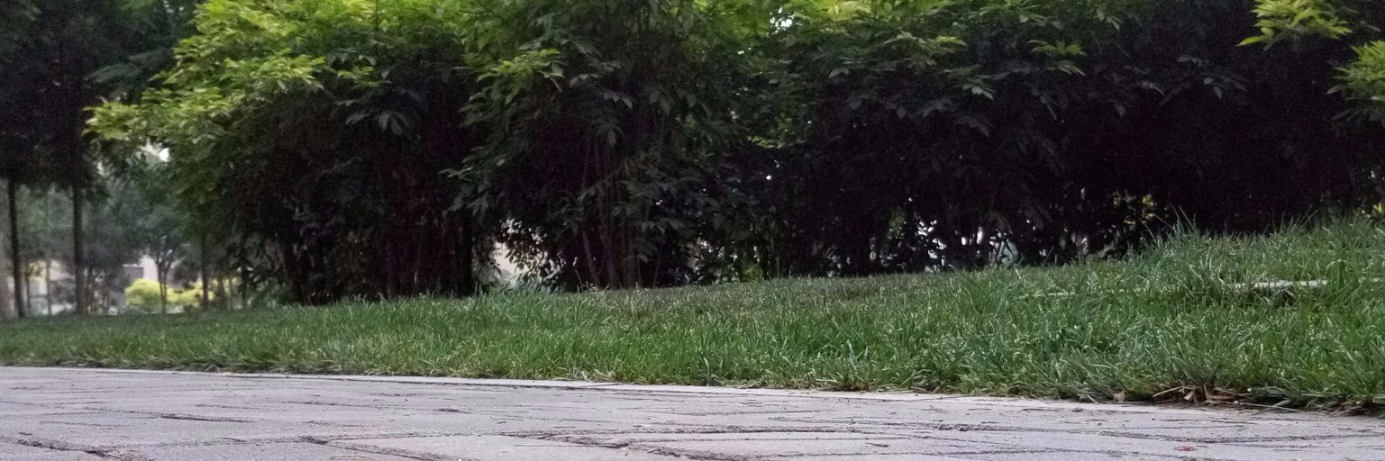 elo_olt's profile banner image