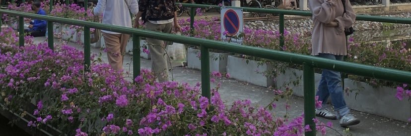 뮤 뮤 banner