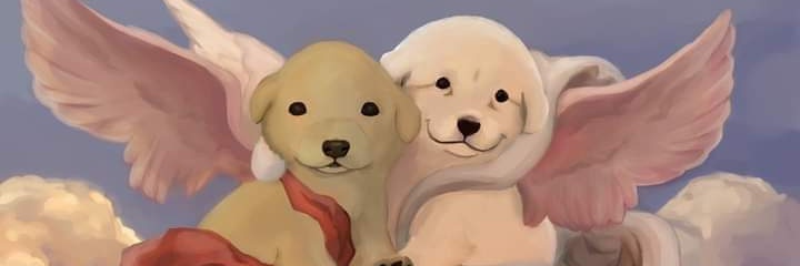 Akm_593's profile banner image