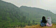 sekarhpsri's profile banner image