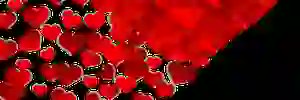 HdWuicho36's profile banner image