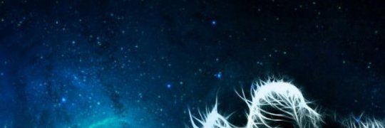 spqpwo's profile banner image