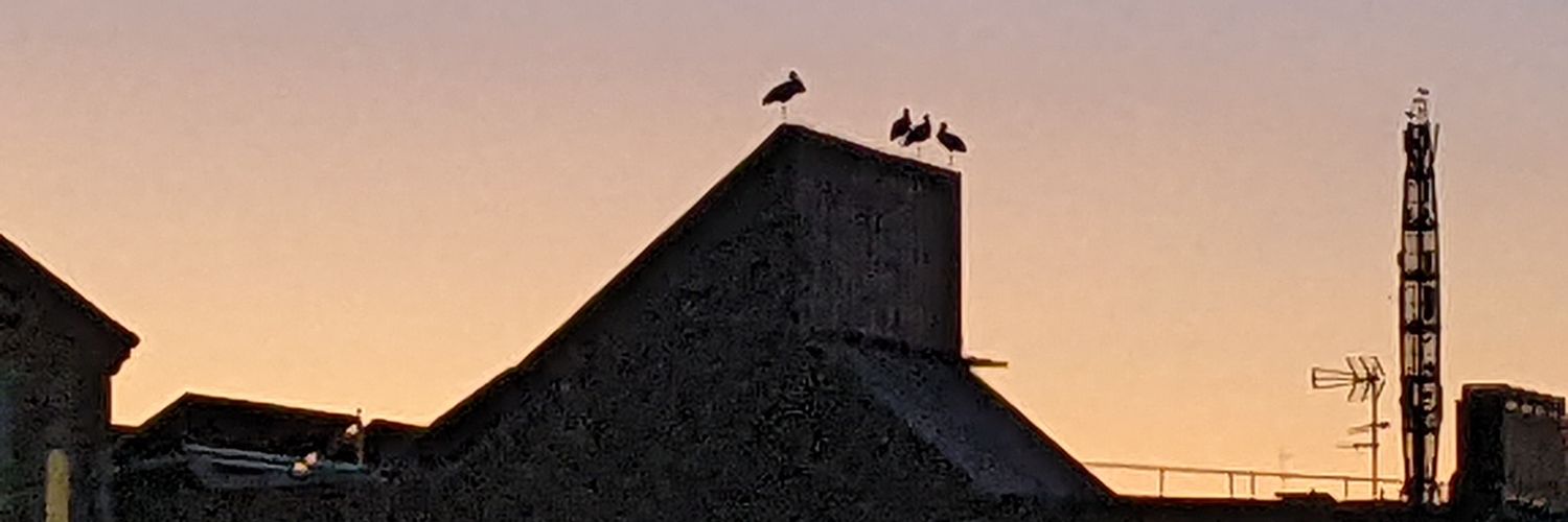 Golden Age Of Crypto banner